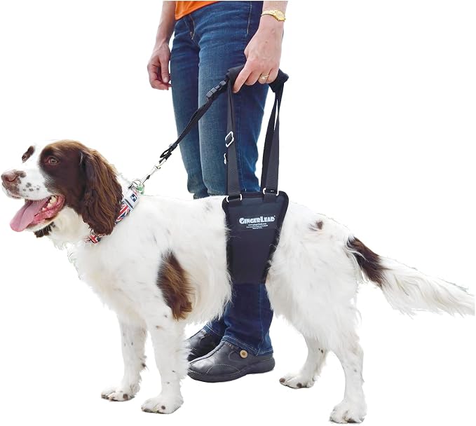 Dog Support Sling Rear Leg Harness, SM Male, Machine Wash & Dry | Fits Small to Medium Size Pets or Larger Barrel-Chested Breeds like Boxers, Bullies. Male Dachshunds use XS Size. Made in USA