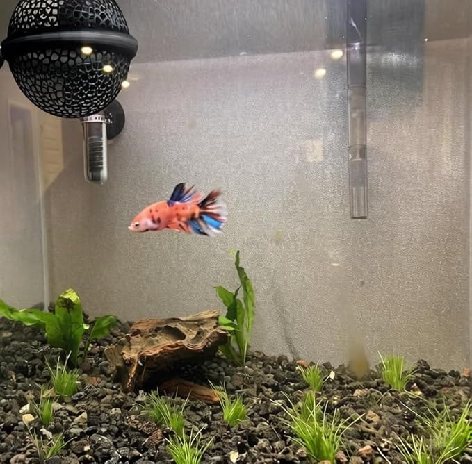 2 PCS Betta Hammock,Bett a Bed, Floating Betta Fish Hammock, 3D Printed Aquarium Decor, Betta Fish Feeder, Safe Resting Spot for Betta, Shrimp and Small Fish (Black)