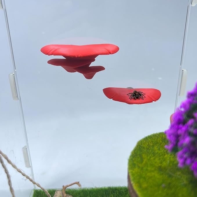 Jumping Spider Mushroom Shelf, Magnetically Concealed Jumping Spider Habitat,Serves As Enclosure Decorate Accessories for Spider Climbing Feeding and Platforms (Red)