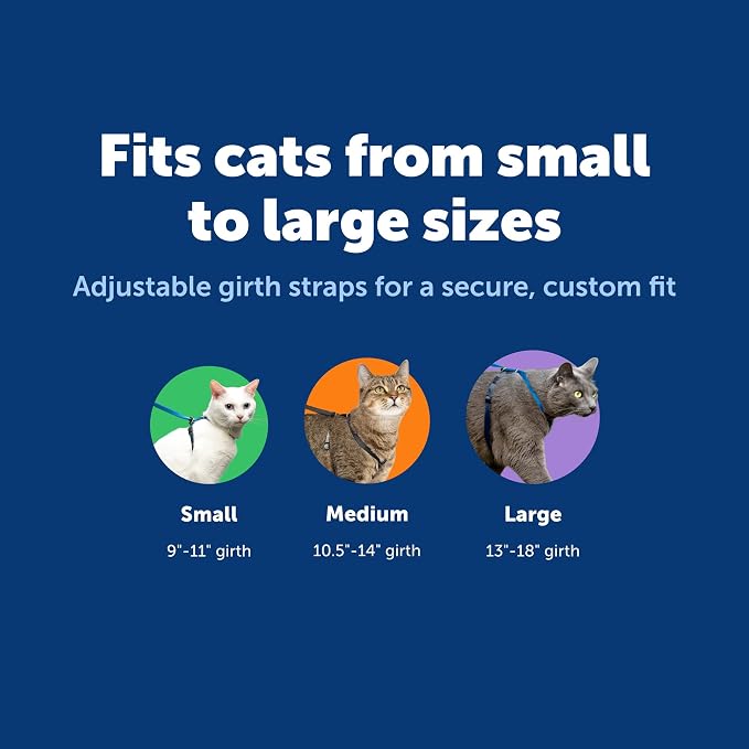 PetSafe Come with Me Kitty Harness and Bungee Cat Leash, Royal Blue, Large | Adjustable 2-Point Fit Applies Gentle Pressure to Shoulders, Not Neck, for Average and Large Cats with 13 in - 18 in Girth