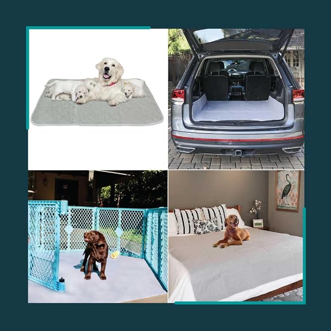 rocket & rex Premium XXL Non-Slip Washable Dog Playpen Mat (72"x72") | For whelping, potty training & travel. OEKO-TEX certified, chemical-free.