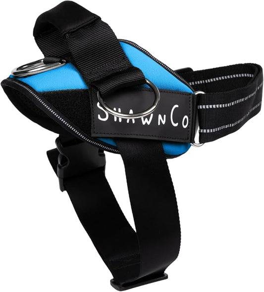 ShawnCo Essential Pro Dog Harness, No-Pull Pet Vest with 3 Leash Clips and Removable, Reflective Side Patches, Adjustable and Padded Harness for Small, Medium and Large Dogs (Oceanic Blue, M)
