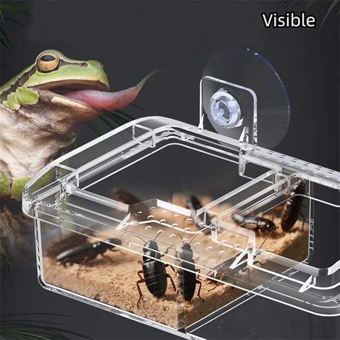 Escape Proof Reptile Feeding Dishes with Suction Cups, Plastic Anti-Escape Mealworms Bug Food Feeder Bowl for Lizard Leopard Gecko Chameleon Terrarium Tank Accessories