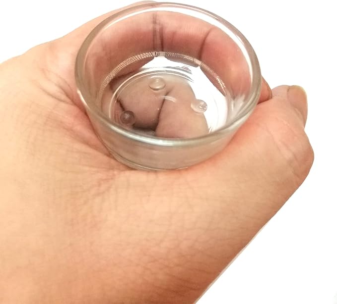 Small Reptile Feeding Dish Food Water Bowl Feeder Cup Basin, 4 Pack, 0.5 Oz
