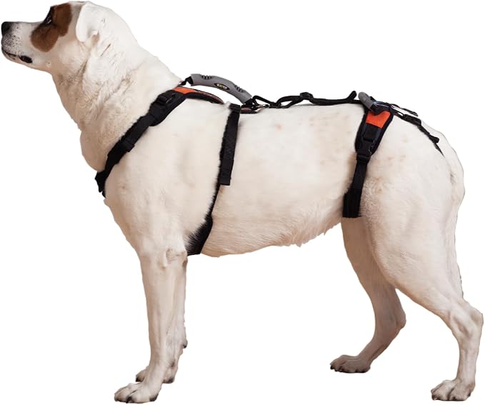 Help 'Em Up® Dog Lift Harness, Full Body Support, Medium U-Band (45-80 lbs)