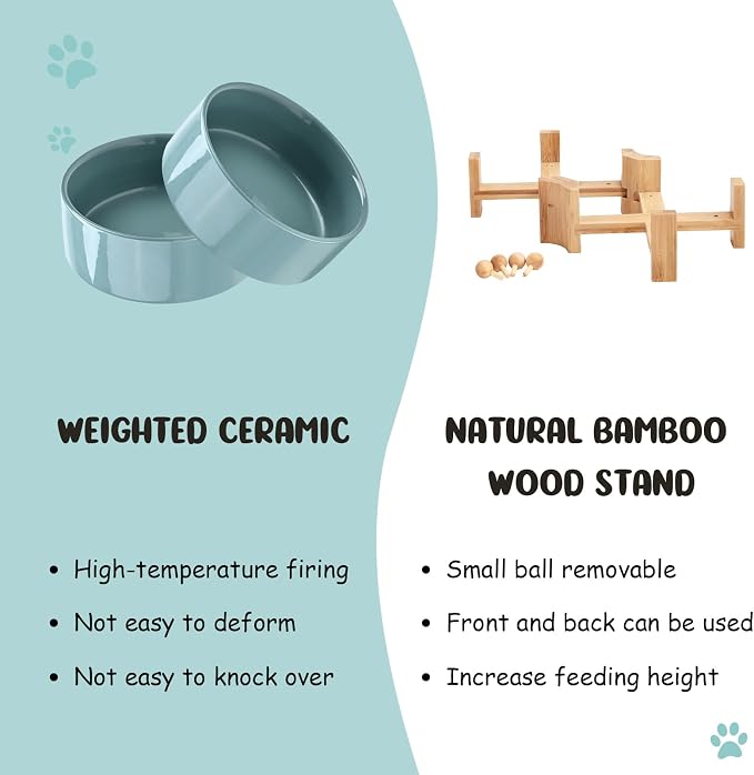SPUNKYJUNKY 15° Slanted Ceramic Dog and Cat Bowl with Wooden Stand, Tilted Bulldog Food and Water Bowl No Slip Non-Spill for Cats Medium Dogs Big Face Pets 28.7 OZ (3.6 Cups, Light Green × 2)