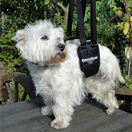 Dog Rear Sling Support Harness, SM Female, Machine Wash & Dry | Fits Small to Medium Size Dogs or Larger Barrel-Chested Breeds like Boxers, Bullies. Padded, Integrated Leash. Made in U.S.A.