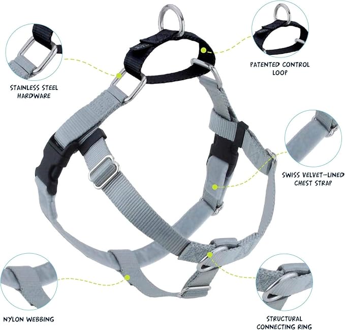 2 Hounds Design Freedom No Pull Dog Harness and Leash, 5/8" SM, Silver | Promotes Easy Walking & Comfortable Control, Secure Fit, Adjustable Harness and Leash Set for Small Sized Dogs, Made in USA