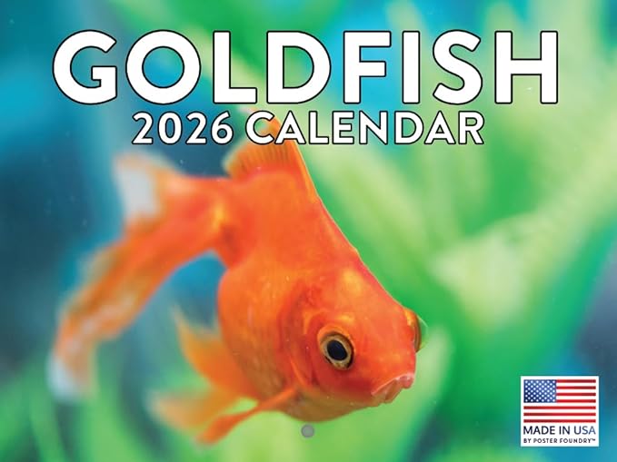 Gold FIsh Calendar 2026 Wall 12 Month GoldFIsh Gifts For Gold FIsh Lovers Women Men Monthly Calender| American Made In The USA