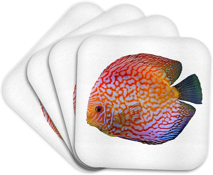 3dRose King of The Aquarium Discus Fish Image Wildlife Set of 4 Coasters - Soft