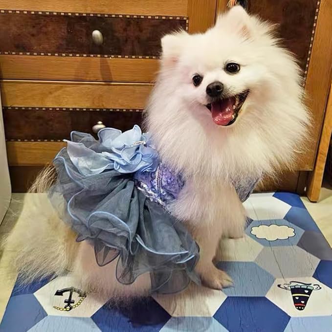 ANIAC Blue Cat Wedding Dress and Bow Dog Wedding Outfit Formal Puppy Clothes for Girl Small Dog Luxury Pet Party Dress for Kitten Chihuahua Yorkie Pomeranian (Blue-2, Medium)