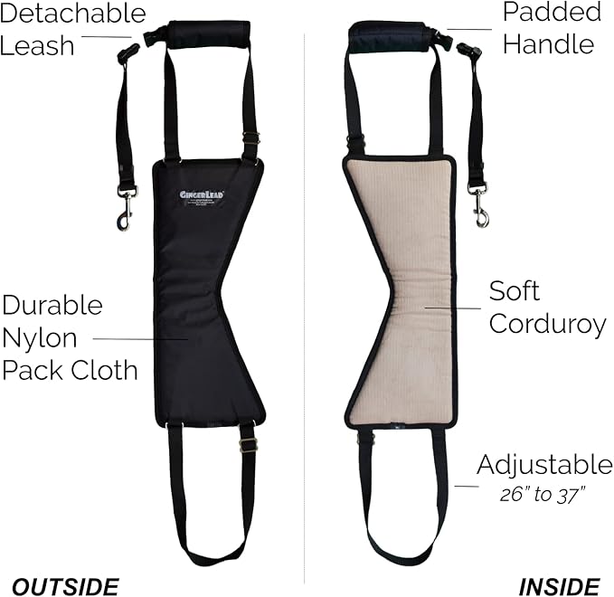 Dog Support Harness, Rear End Lift Sling, Tall Male, Made in USA | Fits Tall, Lean Dogs like Greyhounds or Great Danes, Padded Mobility Aid, Help Pets Walk or Balance, Machine Wash & Dry