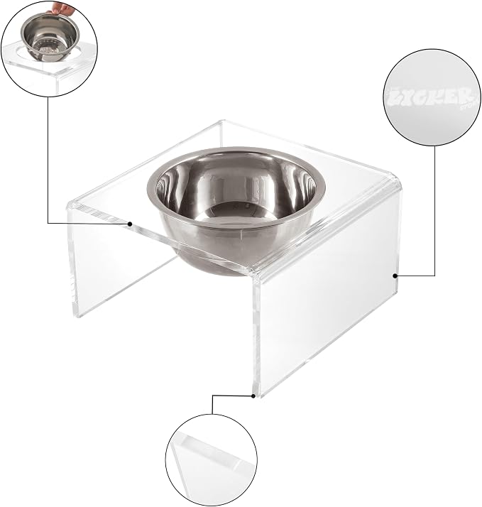 DBL2002A Keaton 5" Small/Medium Modern Acrylic Rectangular Elevated Pet Feeder with 20oz 1-Stainless Steel Bowl, Clear/Chrome