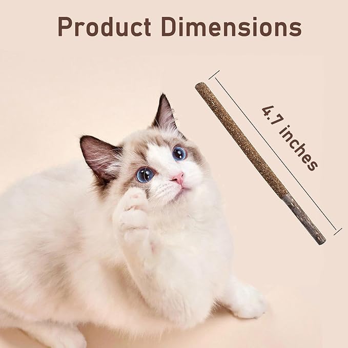 Natural Silvervine Sticks for Cats,Catnip Cat & Kitten Chew Toys Teeth Cleaning, Matatabi Cat Treat, Edible Kitty Toys (20PC)