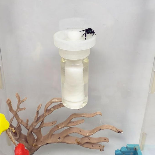 Jumping Spider Water Dispenser, Magnetic Hanging Feeder,Suitable for Jumping Spiders,Tarantulas, Praying Mantises,Arboreal Animals, and Other Small Animal Enclosure Accessories (Transparent, 10ML)