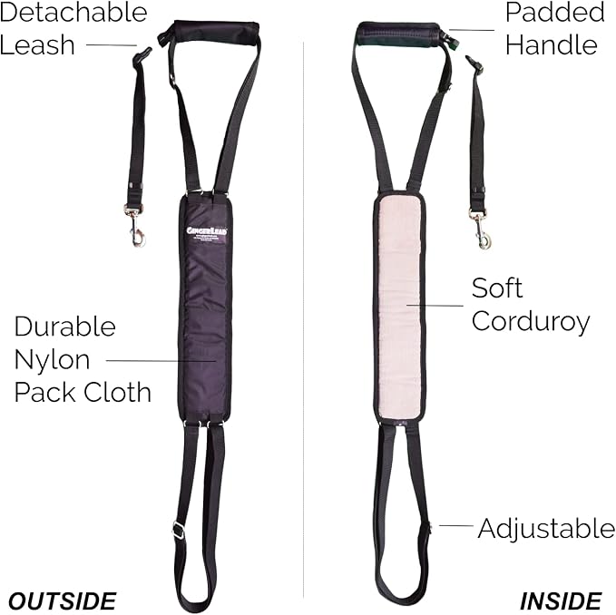 Dog Rear Sling Support Harness, SM Female, Machine Wash & Dry | Fits Small to Medium Size Dogs or Larger Barrel-Chested Breeds like Boxers, Bullies. Padded, Integrated Leash. Made in U.S.A.