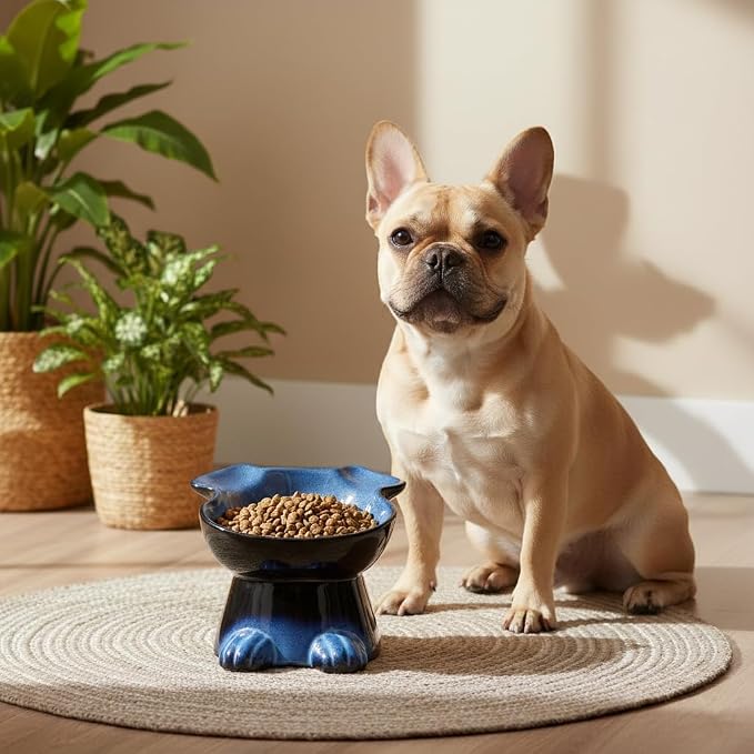 Nihow Elevated Ceramic Dog Bowls: 6.5 Inch Raised Dog Bowl for Food & Water | Food Safe Bowl for Medium/Small Size Dogs - Vivid Blue Puppy Bowls for Protecting Pet's Spine (1 PC)