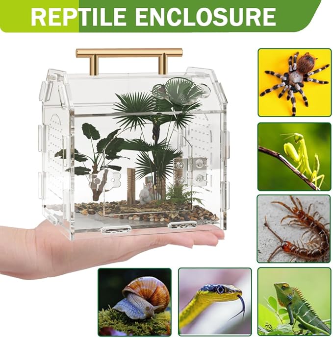 Jumping Spider Enclosure,Premium Acrylic Spider Enclosure - Ideal for Tarantulas, Reptiles, and Insects - Easy Assembly & Feeding - All-Round Transparent Terrarium