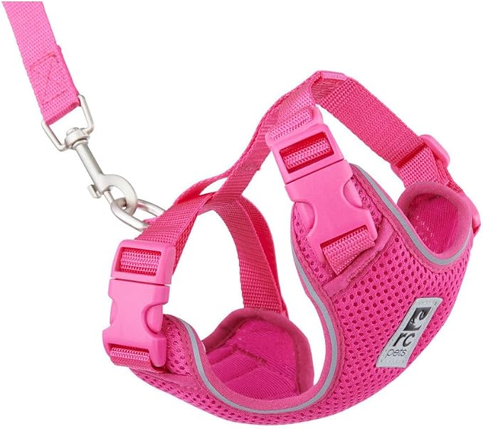 RC Pets Adventure Kitty Cat Harness | Adjustable Airmesh Vest with D-Ring and 6ft Leash for Walking and Travel | Raspberry, Large