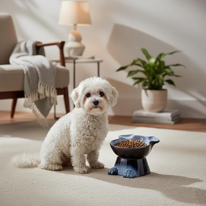 Nihow Elevated Ceramic Dog Bowls: 6.5 Inch Raised Dog Bowl for Food & Water | Food Safe Bowl for Medium/Small Size Dogs - Gray Puppy Bowls for Protecting Pet's Spine(1 PC)