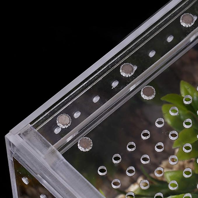 NANEEZOO Magnetic Acrylic Reptile Case - 8"x6"x4" Flat Long Enclosure Transparent Reptile Breeding Box Terrarium Cage - for Tarantula Scorpion Sling Isopods Invertebrates & Insect Mantis