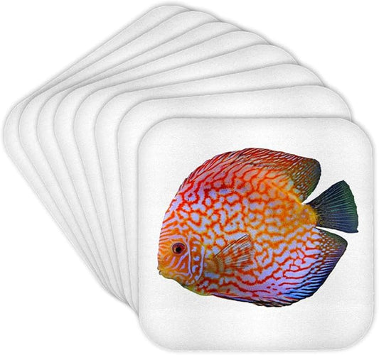 3dRose King of The Aquarium Discus Fish Image Wildlife Set of 8 Coasters - Soft