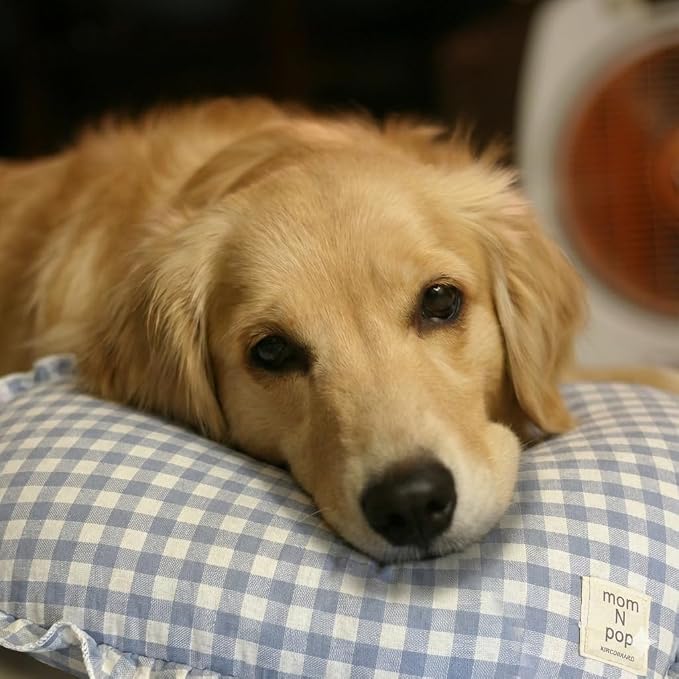 MOM N POP Organic Dog Pillow Bed, Calming Dog Head & Neck Pillow for Small, Medium Dog & Puppy, Handmade Organic Cotton Pet Cushion Bed, Washable Gingham Check Cushion – Beige/Blue (Red)
