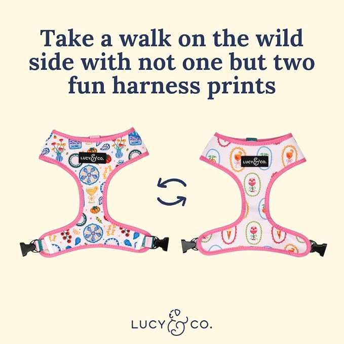 Lucy & Co. Dolce Vita Reversible Dog Harness, Adjustable Comfort Fit with Dual Leash Attachments, Small