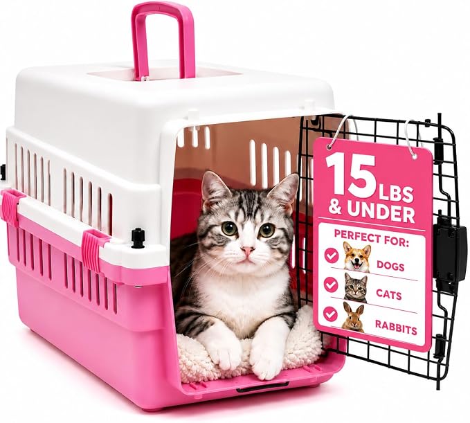20-Inch Pink Hard Shell Pet Carrier for Small Dogs & Cats Under 15 Lbs | Plastic Dog Crate & Cat Travel Kennel, Secure Metal Door, 360° Airflow, Wipe-Clean Base