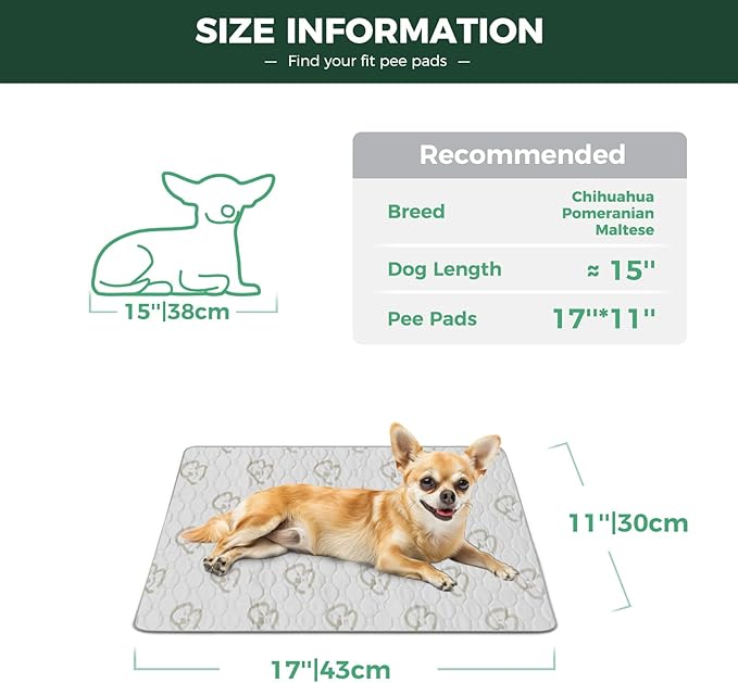 FXW Washable Pee Pads for Dogs, Super Absorbent, 11" x 17", 2 Packs | Machine washable, Non-slip backing