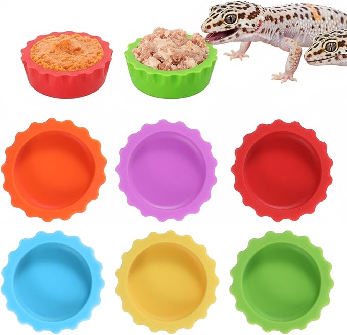 12 Pack Crested Gecko Food and Water Bowl, Reusable Reptile Food Dish, Silicone Colorful Water Bowl Gecko Tank Accessories for Tortoise, Crab,Tarantula, Lizard