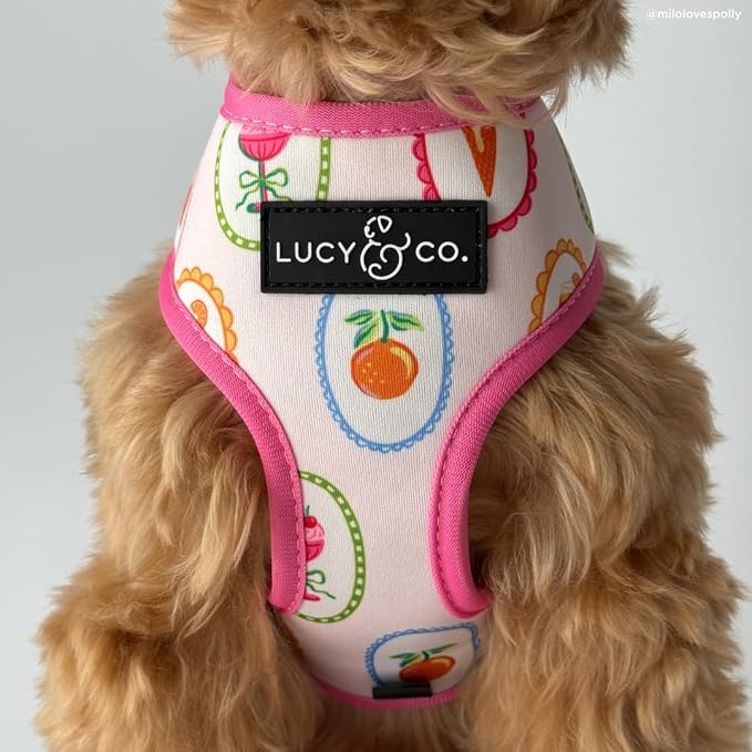 Lucy & Co. Dolce Vita Reversible Dog Harness, Adjustable Comfort Fit with Dual Leash Attachments, Large
