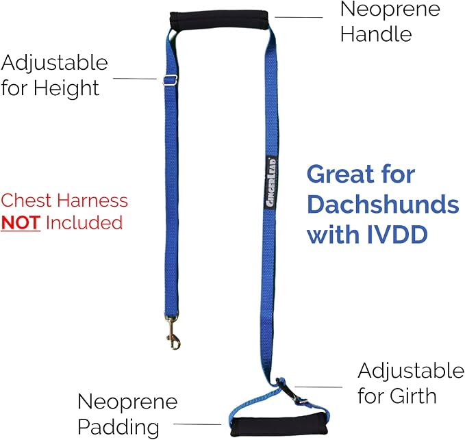 Dog Back Support IVDD Sling Harness, X-Small & Dachshunds | Fits Pets Under 25 lbs and Doxies, Walking Aid for K9s with Disc Disease, Fully Adjustable, Chest Harness NOT Included