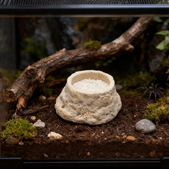 Round Spider Mini Water Bowl Small Mini Resin Dish for Spiders Crawler Feeding Sink Small Water Sink for Reptile