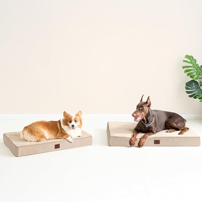 EHEYCIGA Orthopedic Dog Bed Large with Removable Washable Cover, 47IN Khaki | Egg Crate Foam Support, Durable Oxford fabric, Non-Slip Bottom, Machine Washable, Soft Waterproof Plush Pet Bed Mat For Crate
