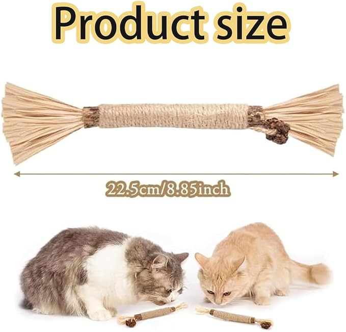 Natural Silvervine Dental Sticks, Natural Silvervine Sticks for Cats, Cleaning Dental, Scratch and Bite Resistant, Calm Cat Boring, for Indoor Kitty Interactive Kitten Chew Playthings (5Pcs)