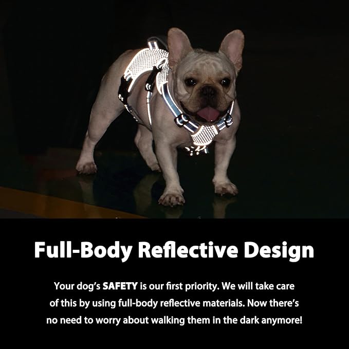 Escape Proof Dog Harness, Dachshund Harness, Reflective Dog Harness with Handle, Durable,Adjustable Vest for Small Medium Large Dogs Walking, Training, and Running Gear (Sea Blue,XL)