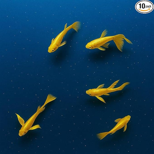 10+ Full Gold 24K Guppy Live Fish - Premium High-Color Strain, Active & Hardy Tropical Aquarium Fish, Vibrant Gold Body, Live Arrival Guarantee