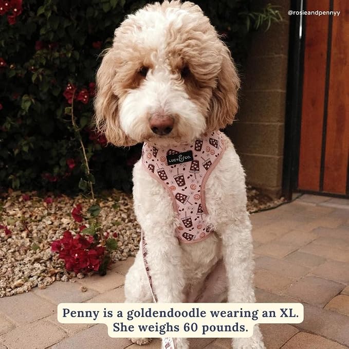 Lucy & Co. Reversible Dog Harness - Water-Repellent Neoprene, Dual-Print Design, Easy Swap Style, Adjustable Comfort Fit - Iced Coffee SZN Reversible Harness - Large
