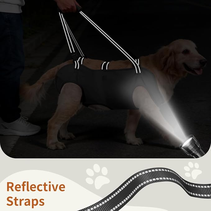 Full Body Dog Lift Harness, Support Senior & Disabled Dogs Walking | Help Up & Down Stairs Grooming, Dog Sling Backpack, Front Hind Leg Joint Injuries, Reflective, Soft Padded Handle | Black, M