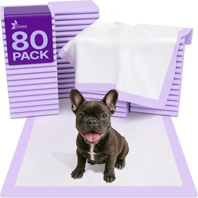 Pee Pads - Super Absorbent & Leak-Proof Pee Pads for Dogs - Puppy Pads - Waterproof Dog Pads, Dog Training Pads for Cats, Rabbits (Pack of 80 - 22x22)
