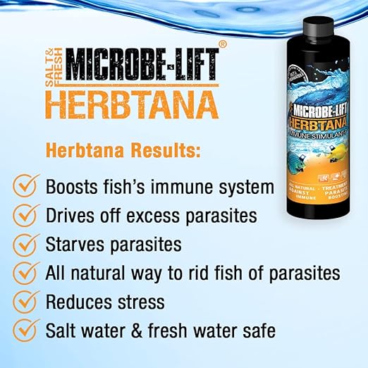 MICROBE-LIFT Herbtana Fish Medicine, Immune Booster and Parasite Treatment for Aquarium Fish Health, Ich Treatment, Use in Freshwater Tank or Saltwater Aquarium, 8 Ounces (HERB08)