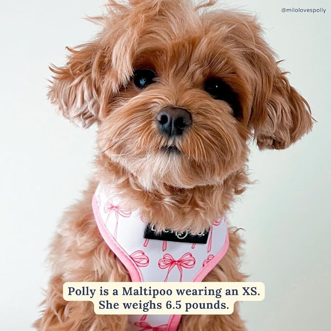 Lucy & Co. Reversible Dog Harness - Water-Repellent Neoprene, Dual-Print Design, Easy Swap Style, Adjustable Comfort Fit - Take a Bow Reversible Harness - Large