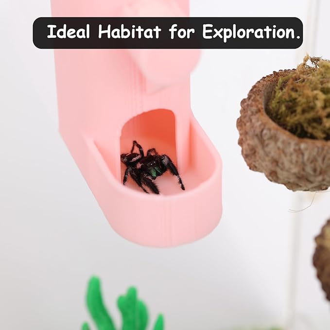 Small Animal Water Feeder, Magnetic Hanging Feeder & Hidden Cave - Accessories for Jumping Spiders, Wolf Spiders, Mantises, Arboreal Animals & Other Small Creatures - 5ML Capacity (Pink)