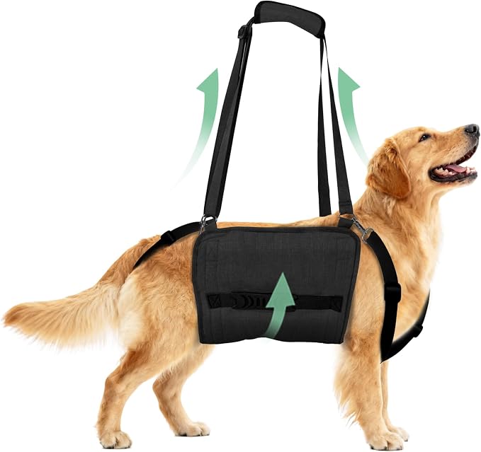 Adjustable Dog Lift Harness, Dog Carry Sling Provides Rear Leg Support for Senior Dogs, Arthritis and After ACL Surgery Dogs,Suitable for Medium to Large Dogs,Black XL