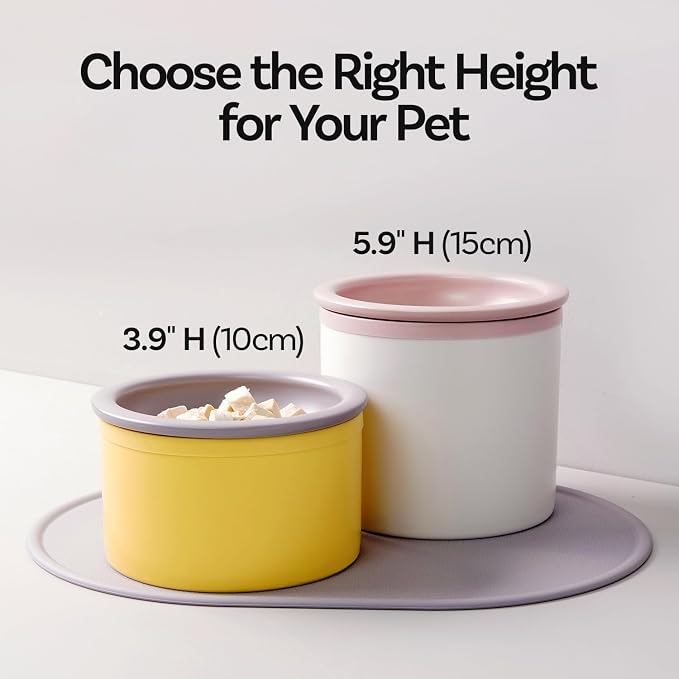 Hello Bowl Elevated Ceramic Cat Bowl with Stand, Raised Whisker-Friendly Feeding Bowl for Cats & Small Dogs, Patented Design, Made in Korea (Gray, Square Only/Dry)