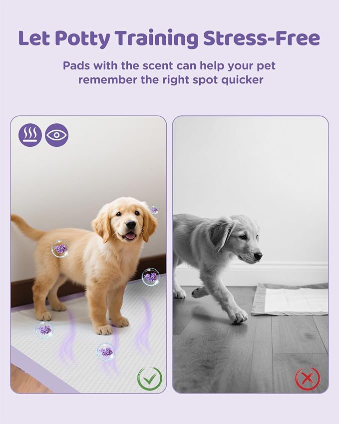 iweepet 36"x36" 4XL Lavender Scented Disposable Dog Pee Pads, 30 Count | Extra Large Puppy Training Pads with 6-Layer Super Absorbent Protection, Leakproof Puppy Pads for Large Dogs & Senior Pets