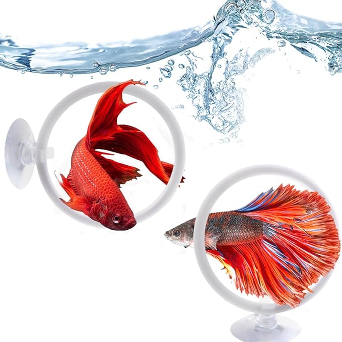 2 Pcs 2.87 Inch Betta Fish Exercise Ring, with Fixed Suction Cup Betta Tank Fish Work Out Toys for Aquarium Decor, Fish Tank Accessories Feeding Ring, White