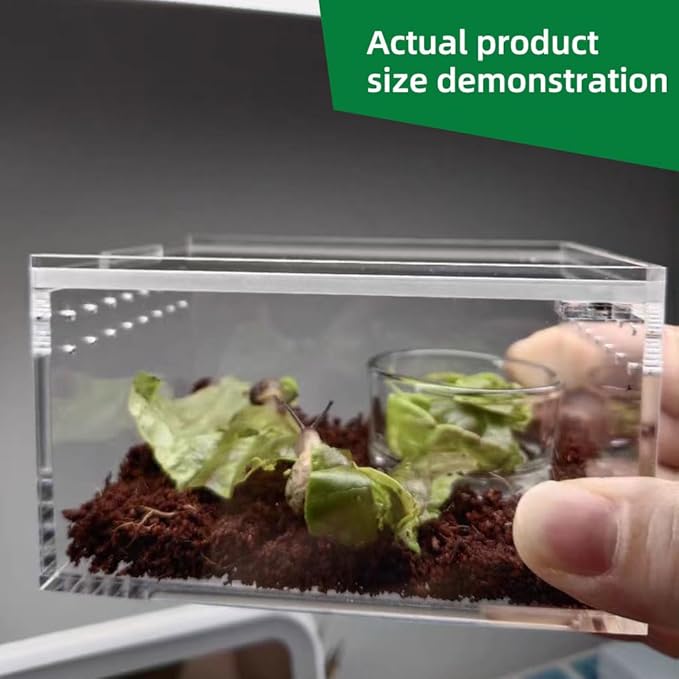 Small Acrylic Reptile Enclosure, No Assembly Small Reptile Breeding Box for Insect Tarantula Hermit Crab Jumping Spider (4x3.3X2.5 in)