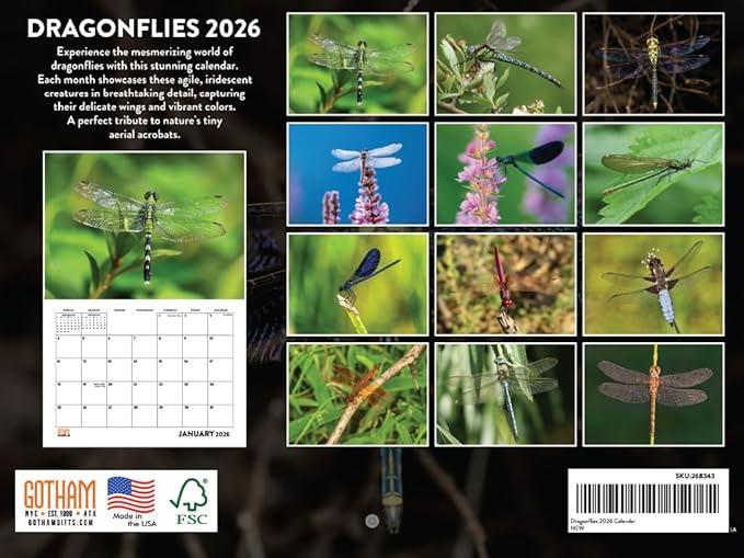 Dragonfly Calendar 2026 Wall Monthly Dragonflys Gifts For Dragonfly Lovers Women Men | American Made In The USA